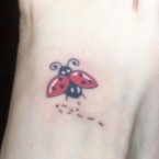 Ladybugs Tattoo Ideas