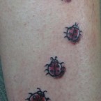 Ladybugs Tattoo Ideas