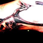 Tattoos of Lizards and Black Colors